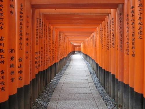 A morning hike through the Fushimi Inari shrine to the Southeast of the city