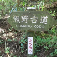 Kumano Kodo - Part One: A Walk Through the Woods and a Soak in an Onsen