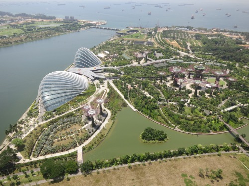 Looking down upon the Gardens by the Bay